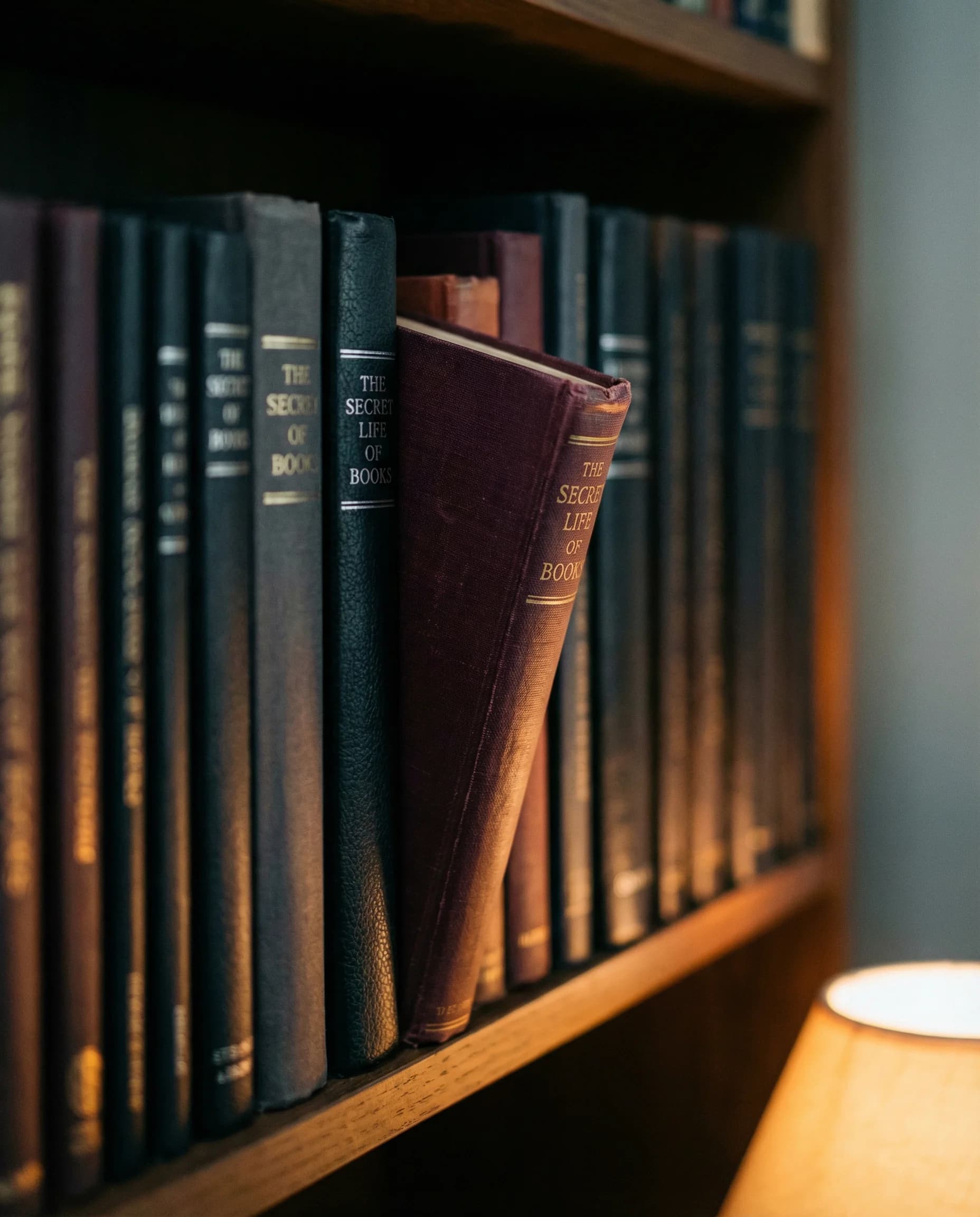 Cursos e Treinamentos